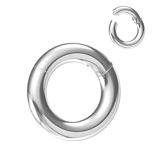 4G/6G/8G/10G/12G/14G/16G/18G/20G Hypoallergenic Nose Hoop Rings Steel Hinged Clicker Segment Gold/Rose Gold/Black/Pink Color - style: 1pc: 6g×12mm Silver-tone