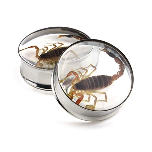 Ear Gauges Plugs Genuine Scorpion Inlay Stainless Steel Double Flare Tunnels Stretching Expander Body Piercing Jewelry 2 Pieces - color: Gauge 7/8" (22mm)