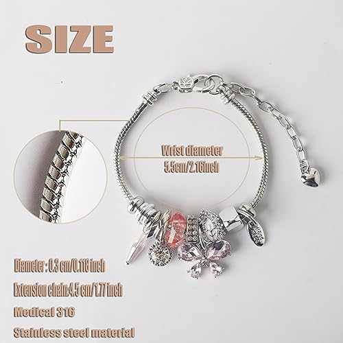 DS Charm Bracelets for Girls Adjustable Silver Stainless Steel Gift Box | Cute Cartoon Charms,Friendship Jewelry,Birthday Gifts,Teen Kid Fit, Tarnish Resistant,Stackable Trendy Daily Wear - style: Silver-butterfly 2
