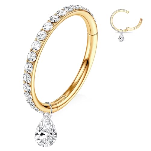 WBRWP 316L Stainless Steel Nose Hoop Rings Clicker with Zircon/Opal 14g-20g | Hypoallergenic Nose Rings Segment Clicker Lip Rings Cartilage Rook Conch Earrings Diameter 5mm-10mm - color: Gold ring with zircon and dangle-1pc pack