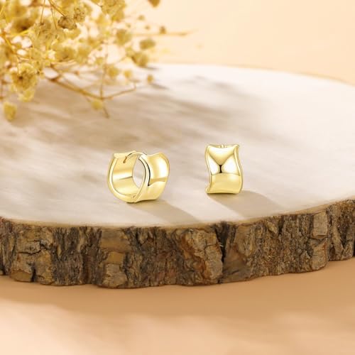 925 Sterling Silver Hoop Earrings for Women Chunky Small Huggie Earrings | Hypoallergenic Lightweight Huggy Earrings Crafted with 925 Sterling Silver Posts Fashion Jewelry Gifts - color: Gold