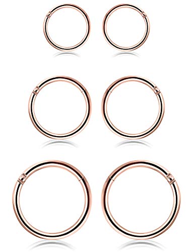 SCERRING 18G Stainless Steel Hinged Clicker Segment Septum Nose Lip Ring Hoop Cartilage Tragus Sleeper Earrings Body Piercing Jewelry 6mm 8mm 10mm 6PCS - color: 3 Pairs - Rose Gold