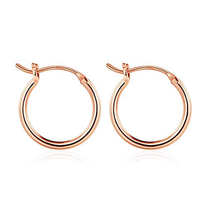 M MOOHAM Hoop Earrings for Women, Hypoallergenic 14K Gold Plated Earrings | Gold Plated Hoop Earrings Set for Sensitive Ears, Earring Stack for Women Trendy, Jewelry Gifts Lightweight 13-60mm - color: 2pcs-15mm-Rose gold plated