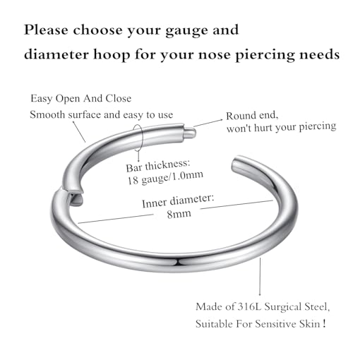ORANGELOVE Hypoallergenic Nose Rings 20G 18G 16G 14G 12G 10G 8G 316l Surgical Steel Septum Jewelry Hinged Segment Ring Body Piercing Nose Hoop Lip Rings Nose Helix Cartilage Rook Earrings - color: Silver, size: 1pc 18 Gauge 8mm