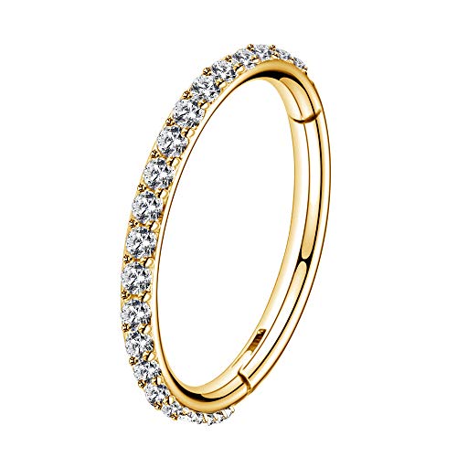 OUFER Gold Hinged Segment Earring Hoop 16G Stainless Steel with Cartilage Earrings Clear CZ Paved Tragus Helix Earrings Cartilage Earring Septum Nose Ring Hoop - color: Gold,16g,5mm