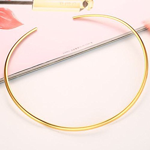 JAJAFOOK Minimalist Round Gold-Tone Bar Necklace Simple Fashion High Neck Choker Female King Neckwire - color: Gold Plated