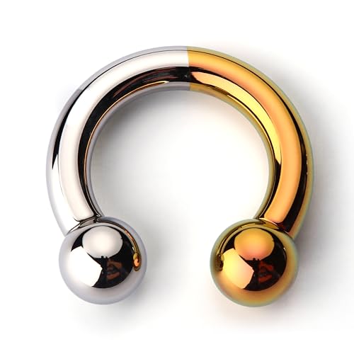BodyBonita Anodized Septum Rings, G23 Titanium Nose Ring Horseshoe, Large PA Ring 6G 8G 12G, Internally Threaded Circular Barbell Stretched Gauges for Ears, CBR Body Piercing Jewelry for Women Men - color: Anodized Silver&Gold, size: 8G(3.2mm)-10mm