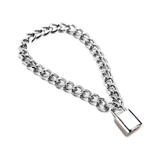 Succuba Padlock Necklace Metal Chain Collar Choker Heart Lock Necklace with Key and Box for Women, Men and Pet (16 to 22 Inches) - color: C