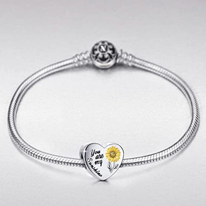 Sunflower Charm Fit for Pandora Charms Bracelet and Necklace You Are My Sunshine Charm Gifts for Women - style: You Are My Sunshine