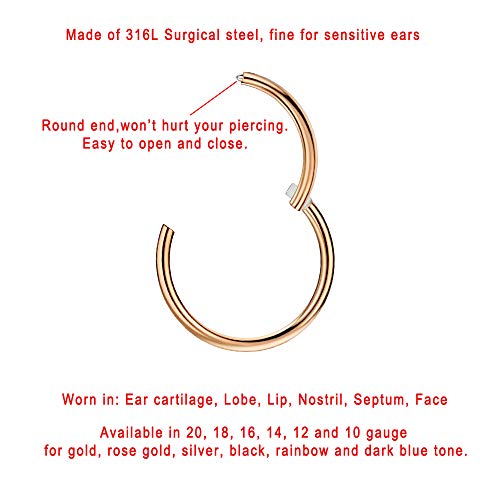 316L Surgical Steel Hypoallergenic Hinged Nose Ring Hoop for Women & Men | Seamless Clasp, Used in Nostril, septum, lip, and all ear piercings. 20 Gauge to 6 Gauge, Inner Diameter 5mm to 22mm - color: 18k rose gold-plated, size: 10 Gauge 10mm