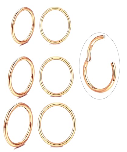 Unisex Dainty Tiny 18k Real Gold Plating Cartilage Huggie Hoop Earrings, 16G Surgical Steel Small Endless Hinged Hoops Earring for Earlobe Cartilage Helix Rook Daith Conch Nose Lip Body Piercing Jewelry - color: Rose Gold 6/8/10mm
