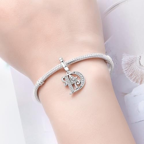 2 Pack 925 Sterling Silver Butterfly Letter Charms for Bracelets and Necklace Alphabet Initial Dangle Pendants Round Spacer Beads Pave Cubic Zirconia Jewelry Gift for Women - color: D Set