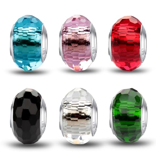 MICOO 925 Sterling Silver Charms for Bracelets,Fashion DIY Dangle Pendants Beads Simulated Birthstone Charms,Birthday Gifts for Women - color: 6 styles charms4