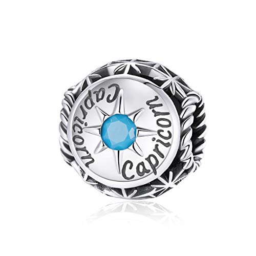 Zodiac Sign Charm fit Charms Bracelet 925 Sterling Silver Charm Birthday Charm 12 Constellations Charms For pandora Bracelets - color: Capricornus