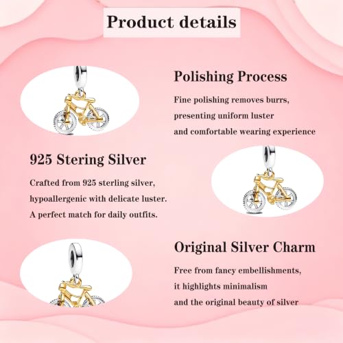 925 Sterling Silver Charms Pendants Mom Heart Dog koi fish Sea Turtle Football Charms for bracelet Pendants Beads Mom Sister Wife Family, Friends, Birthday gifts - style: Bicycle Pendants