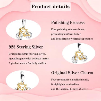 925 Sterling Silver Charms Pendants Mom Heart Dog koi fish Sea Turtle Football Charms for bracelet Pendants Beads Mom Sister Wife Family, Friends, Birthday gifts - style: Bicycle Pendants