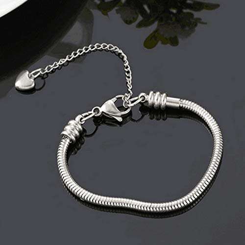 Women Snake Chain Charms Bracelet Moments Slider Love Memorial Stainless Steel Bracelet fit Charm Beads, 6 Inch