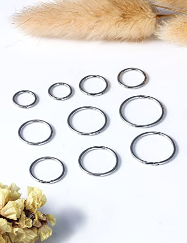 Vsnnsns 14G 16G Septum Nose Rings Hoops Lip Ring Piercing Jewelry 316L Surgical Steel Hinged Segment Clicker Cartilage Tragus Helix Conch Rook Daith Lobe Earrings Hoops Piercing Jewelry for Women Men - color: 16G-Silver