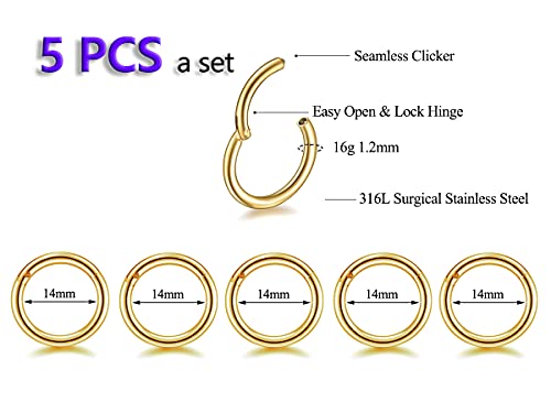 5Pcs 16G 18G Surgical Steel Nose Rings Hoop Tragus Septum Cartilage Hoop Earrings For Women Men Body Piercing Jewelry Kit Bar Length 6mm/8mm/10mm/12mm/14mm - style: 5Pcs -16G - Gold - 14mm