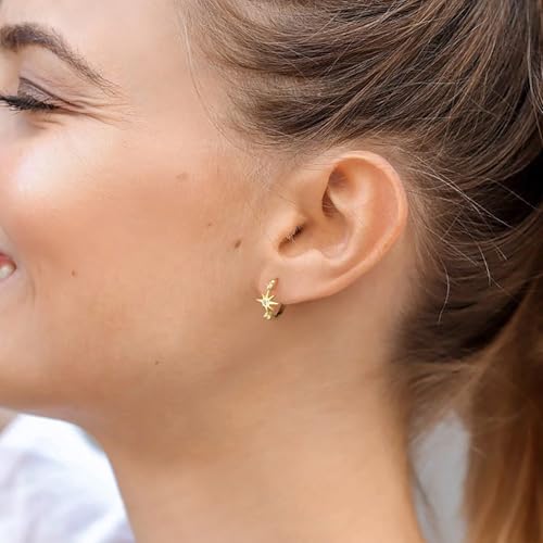 DAILY VIBES Dainty Small Star Huggie Hoop Earrings for Women Trendy | 925 Sterling Silver Post, 14K Gold or Silver Plated, Mini Cubic Zirconia, Cartilage Hoop Earrings - color: Gold Small Star