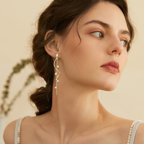 Gold/Silver Clip on Earrings Non Pierced for Women - 14K Gold Plated Long Tasse Drop Dangle Clip Earrings - Cubic Zirconia Leaf Earrings for Women Gold Wedding Jewelry Gifts - color: Gold