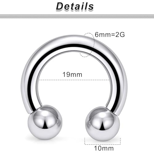 00G 0G 2G 4G 6G 8G 10G 12G 14G 16G Septum Rings Silver Black Surgical Steel Heavy Gauges Earrings Stretching kit Eyebrow Lip Septm Nose Rings Helix Tragus Daith Rook Earrings Hoops 10mm-19mm - color: Silver, size: 2G(6.0mm)-Inner Dia:19mm