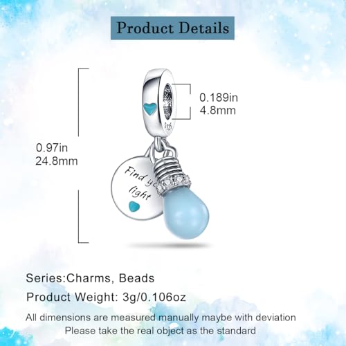 HappyStar Charms for Bracelets Necklaces 925 Sterling Silver fits Pandora Bracelets Dangle Pendants Beads Charms Jewelry Gift For Women Mums(With one Spacer Bead Charm)
