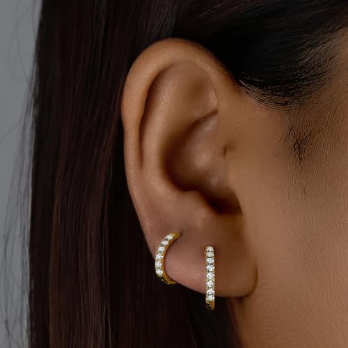 316L Surgical Steel Huggie Hoop Earrings | Dainty Pave Cubic Zirconia Cartilage Tiny Earring for Sensitive Ears Hypoallergenic Lightweight for Women Men - style: Gold Plated,20G*8mm