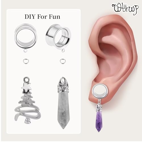 WBRWP 6pcs Ear Gauges Tunnels Plugs: DIY Ear Tunnles Piercing Expander Stainless Steel Double Flared Screw Gauges - color: Silver-Style 1
