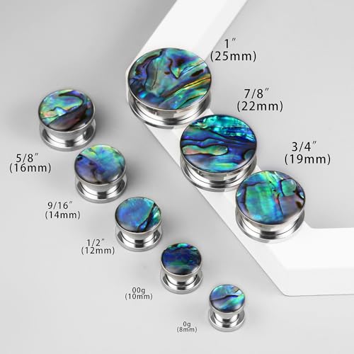 2 Pairs Abalone Pearl Shell Stainless Steel Ear Gauges Plugs and Tunnels, Size 2g - 1 inch Hypoallergenic Surgical Steel Ear Stretcher Expander Body Jewelry - color: BO1651 Silver, size: 6 mm (2g)