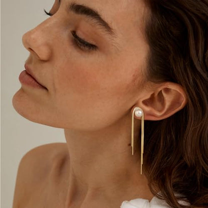 Robaice 14K Gold Plated Dangle Earrings for Women, Long Drop Earrings | Dainty Tassel Earrings Trendy, Hypoallergenic Dangling Lip Block Snake Chain, Threader Earrings for Women, Jewelry Gifts - color: Gold 2