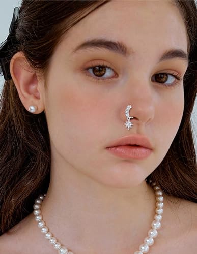 Akeoqi 12Pcs Nose Ring Hoop Cartilage Earring Cute Leaf Star CZ Butterfly Paved Nose Piercing Jewelry for Women men Silver Gold Plated 20G - color: D:Silver Drop