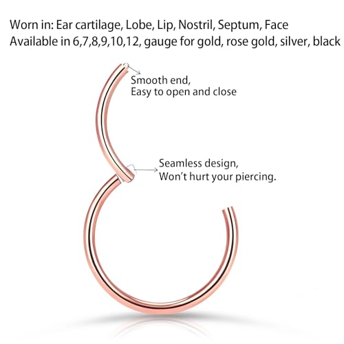 2Pcs Titanium Nose Rings 20G 18G 16G 14G Nose Rings Hoops Diameter 5mm to 12mm Silver-Gold-Rose Gold-Black Cartilage Helix Tragus Daith Rook Hoop Earrings Hinged Segment Septum Clicker Body Piercing Jewelry - color: Rose Gold