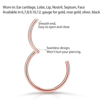 2Pcs Titanium Nose Rings 20G 18G 16G 14G Nose Rings Hoops Diameter 5mm to 12mm Silver-Gold-Rose Gold-Black Cartilage Helix Tragus Daith Rook Hoop Earrings Hinged Segment Septum Clicker Body Piercing Jewelry - color: Rose Gold