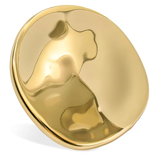 Stainless Steel Brooch Pin for Women & Men,Lapel Pin | Minimalist Statement Elegant Geometric, Sweaters Coat Suit Shawl Collar Shirt Coat Jacket Hat Dress Swim, Velvet Bag & Box - style: Circle-Gold