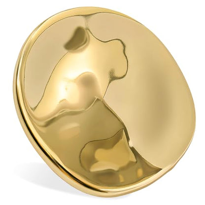 Stainless Steel Brooch Pin for Women & Men,Lapel Pin | Minimalist Statement Elegant Geometric, Sweaters Coat Suit Shawl Collar Shirt Coat Jacket Hat Dress Swim, Velvet Bag & Box - style: Circle-Gold
