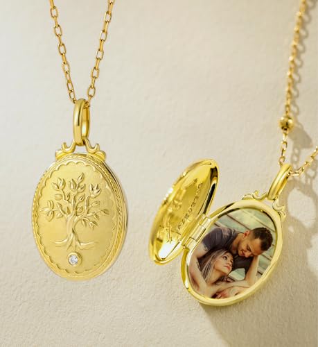 YOUFENG Love Heart Locket 14K Gold-Filled Oval Circle Rectangle Lockets that Hold Pictures Floral Patterns Necklace for Women - style: Family Tree
