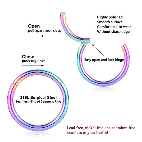 FUNLMO 316L Surgical Steel Hinged Segment Nose Ring Hoop for Nose Septum Cartilage Helix Tragus Conch Rook Daith Lobe Lip Piercings 1 Pc - color: Rainbow