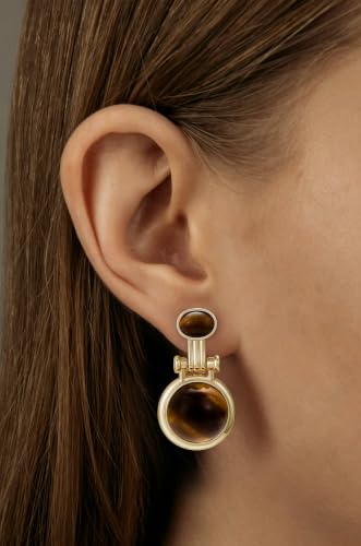 Dr's gift Chunky Leopard Print Earrings for Women 14K Gold Plated Statement Huggie Hoop Earrings Brown Acrylic Tortoise Resin Cheetah Trendy Jewelry - color: tiger tye