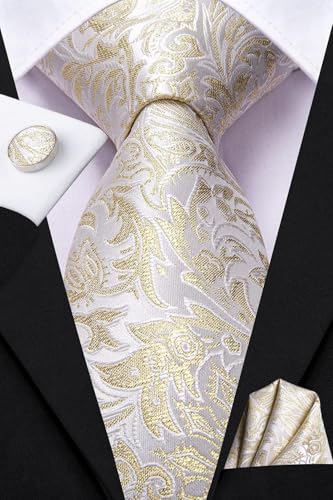 Dubulle Mens Paisley Striped Tie Woven Necktie for Men and Handkerchief Cufflinks Set Wedding Formal Business - color: C Light Sparkles