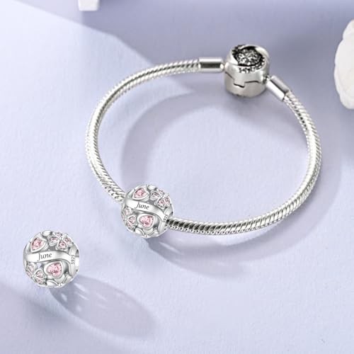 LNQOBU 925 Sterling Silve Lucky Birthstone Charm for Bracelets, With 5A Cubic Zirconia Birthday Charms Dangle Pendant Bead for Pandora Bracelets and Necklaces - color: F1-June