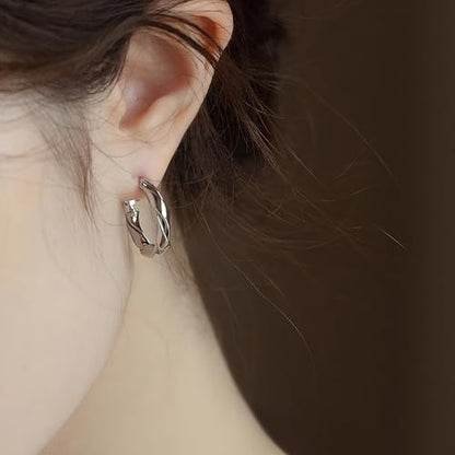 14k Gold Plated Hoop Earrings for Women, 925 Sterling Silver Posts Thick Twist Hypoallergenic Chunky Large Earrings 20mm 30mm 40mm 50mm - color: silver, size: 30mm