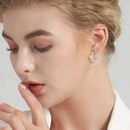 JSGEMSLEE Hypoallergenic Cubic Zirconia Hoop Earrings for Women 925 Sterling Silver Huggie Hoops Earrings CZ Earrings Jewelry Gifts - color: Heart CZ Hoop