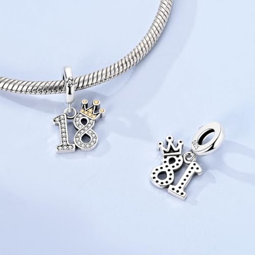 Hapour 925 Sterling Silver Charms for Bracelet Necklace Dangle Pendant Bead | Bear Charm, Elephant Zebra Cat Dream catcher Family Birthday European Jewelry Charm, For Women Mom - color: Silver CZ 18-shaped