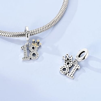 Hapour 925 Sterling Silver Charms for Bracelet Necklace Dangle Pendant Bead | Bear Charm, Elephant Zebra Cat Dream catcher Family Birthday European Jewelry Charm, For Women Mom - color: Silver CZ 18-shaped