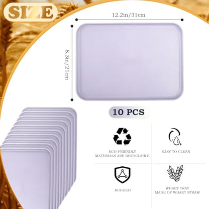 Plastic Art Trays,10 Pack Large Plastic Trays Stackable Activity Tray Crafts Organizer Tray Serving Tray,Painting, Beads,Storage & Serving Tray (12.2 x 8.9 Inches) (Purple) - color: Purple