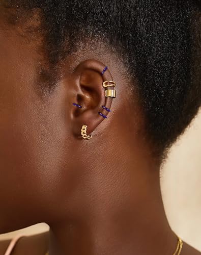 316L Stainless Steel Hoop Earrings, Hinged Segment Earrings Hoop, Cartilage Helix Conch Daith Septum Earrings Hoops - color: Black, size: 1.6*12mm