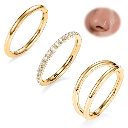 FUNLMO 3Pcs Nose Rings Double Hoop Nose Ring Conch Daith Tragus Helix Rook Piercing Jewelry Surgical Steel Cartilage Earring Conch Hoop Earring Septum Jewelry Lip Ring - color: Style 1: Gold