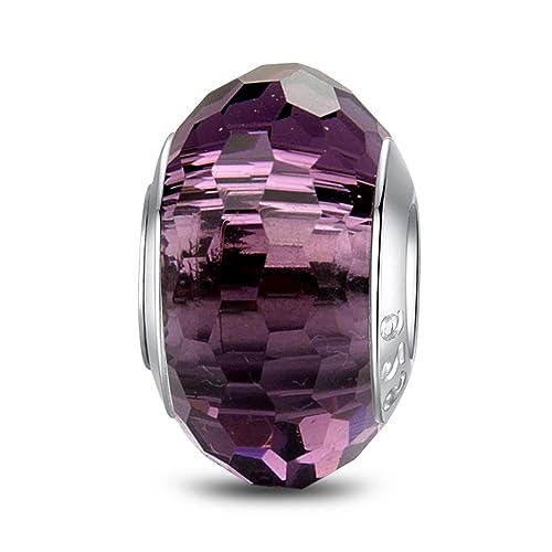 MICOO 925 Sterling Silver Charms for Bracelets,Fashion DIY Dangle Pendants Beads Simulated Birthstone Charms,Birthday Gifts for Women - color: 1Violet Charms