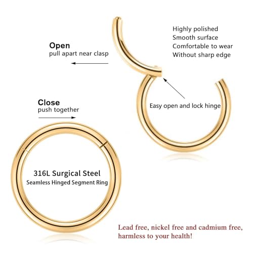 18G Nose Hoop Rings Surgical Steel Hinged Segment Clicker Rings 16G Septum Lip Rings 10 PCS Conch Daith Rook Cartilage Tragus Helix Sleeper Lobe Hoop Earrings Piercing Jewelry for Women 6mm to 16mm - color: Gold:10 pcs